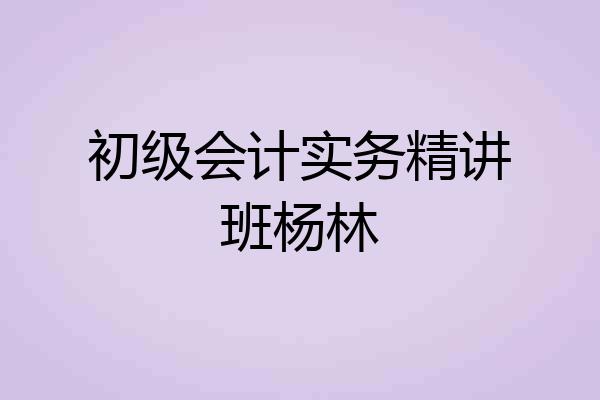 初级会计实务精讲班杨林