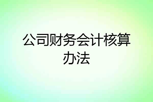 公司财务会计核算办法