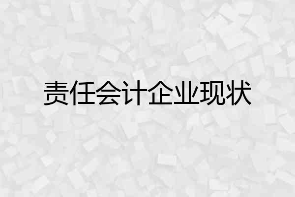 责任会计企业现状