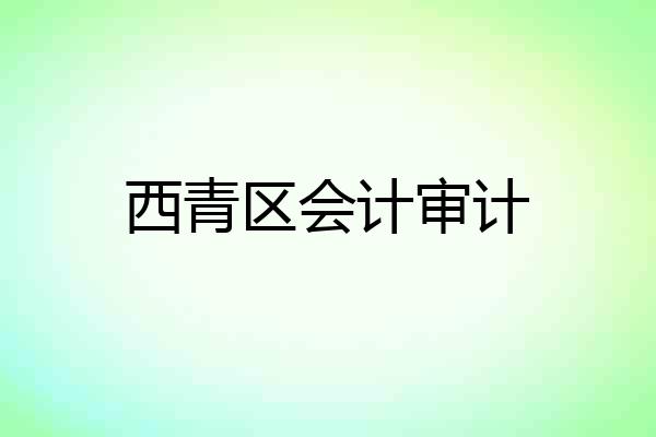 西青区会计审计