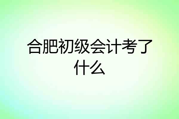 合肥初级会计考了什么