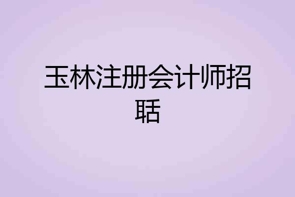 玉林注册会计师招聒