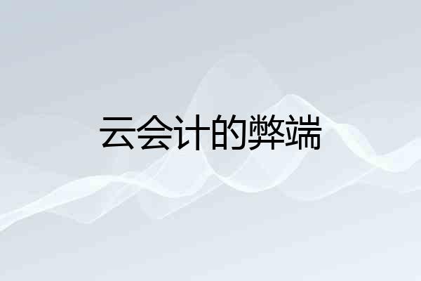 云会计的弊端