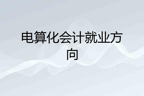 电算化会计就业方向