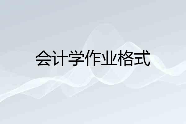 会计学作业格式