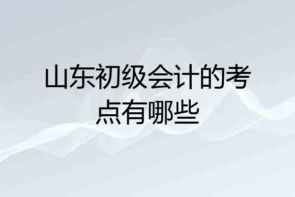 山东初级会计的考点有哪些