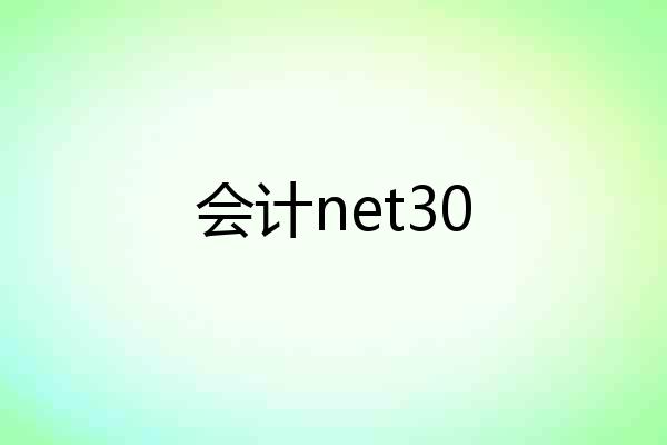 会计net30