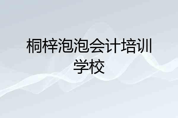 桐梓泡泡会计培训学校
