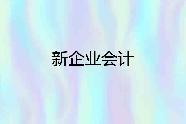 新企业会计