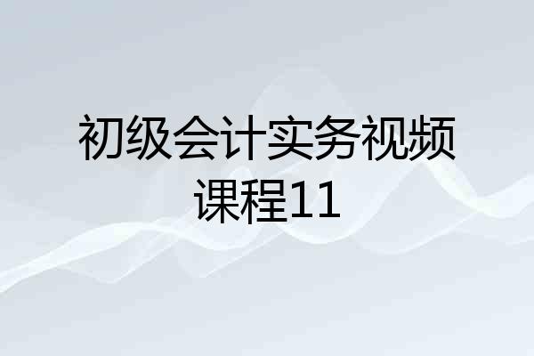 初级会计实务视频课程11