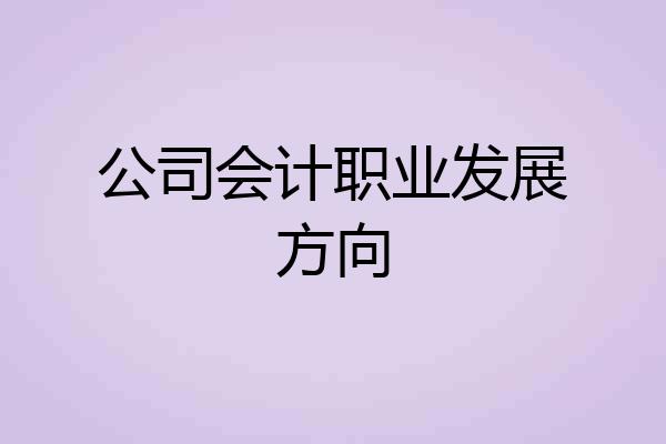 公司会计职业发展方向