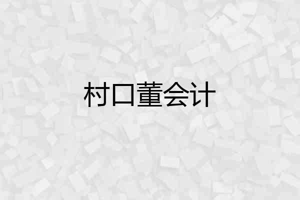 村口董会计