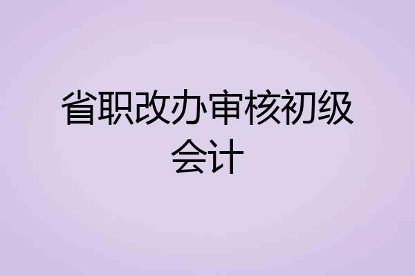省职改办审核初级会计
