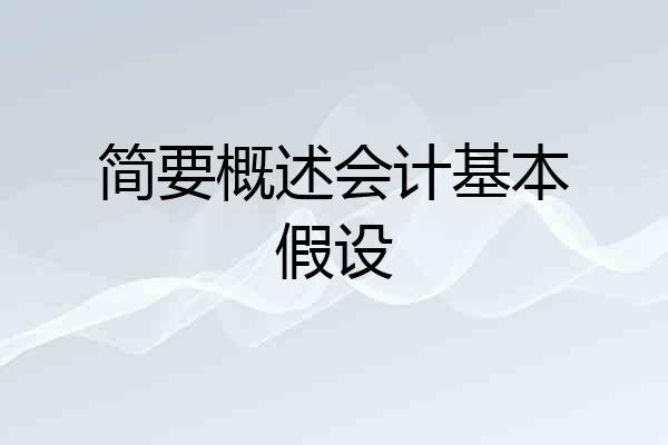 简要概述会计基本假设