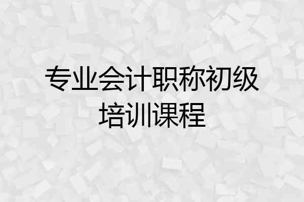专业会计职称初级培训课程