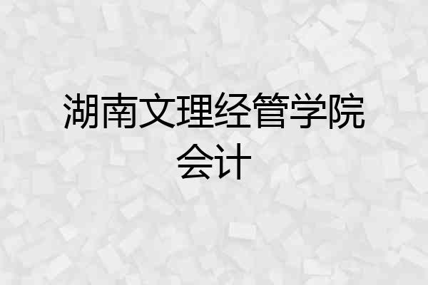 湖南文理经管学院会计