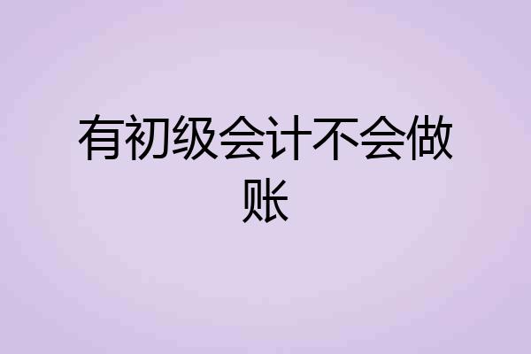 有初级会计不会做账