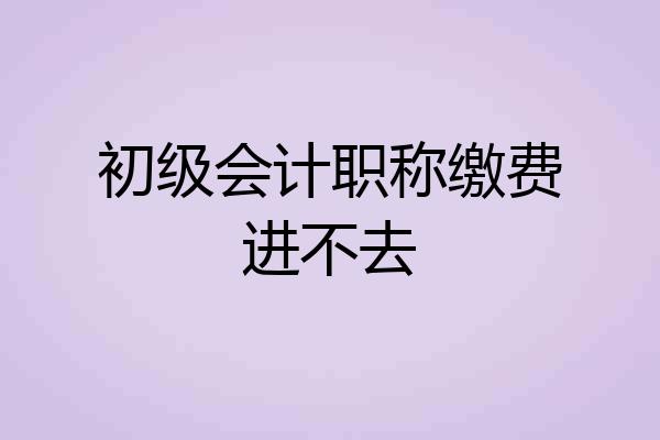 初级会计职称缴费进不去