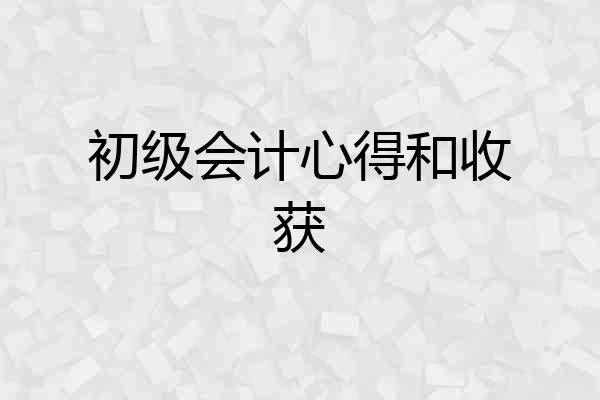 初级会计心得和收获