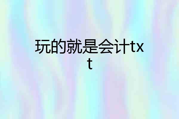 玩的就是会计txt