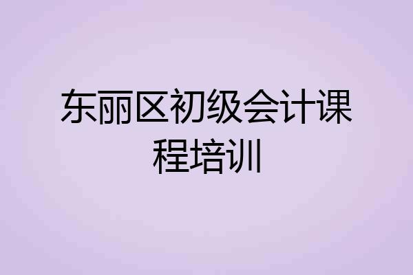 东丽区初级会计课程培训