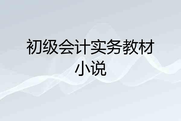 初级会计实务教材小说