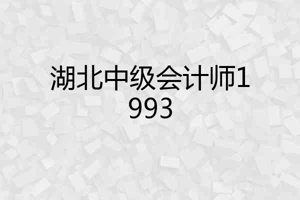 湖北中级会计师1993