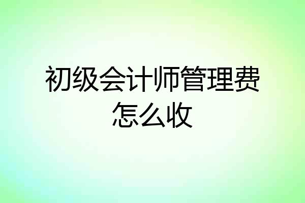 初级会计师管理费怎么收