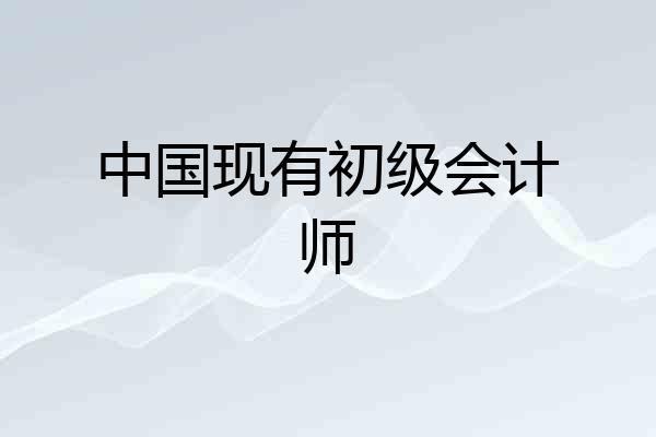 中国现有初级会计师