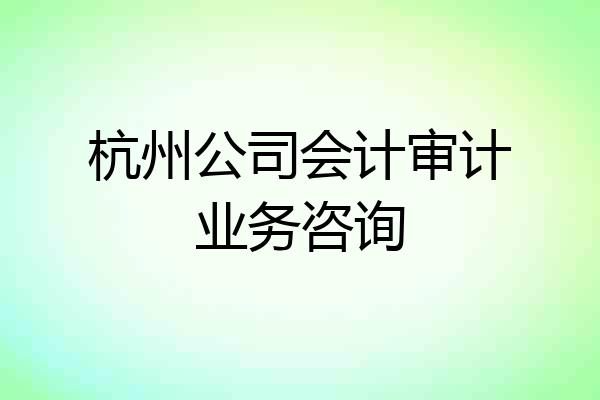 杭州公司会计审计业务咨询
