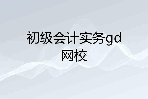 初级会计实务gd网校