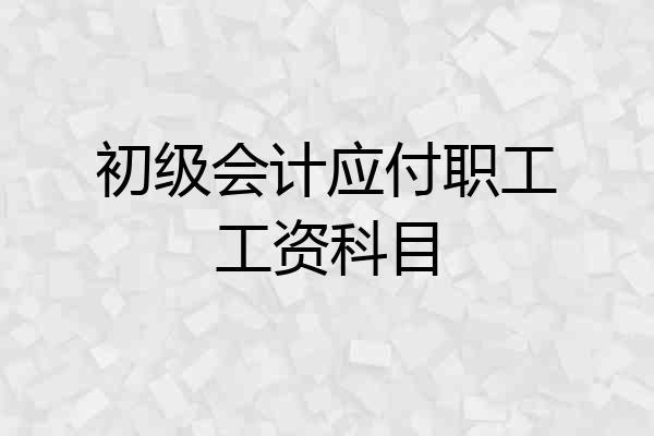 初级会计应付职工工资科目