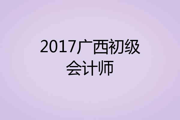 2017广西初级会计师