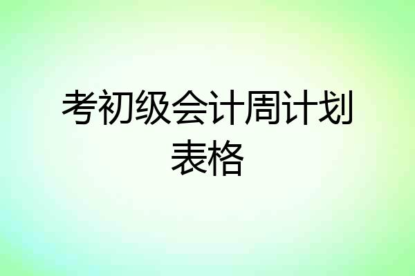 考初级会计周计划表格