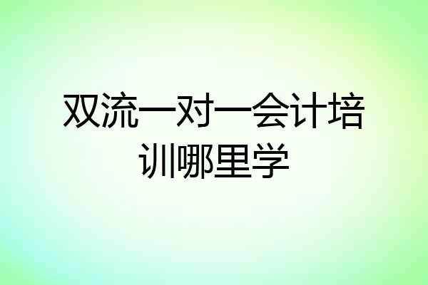 双流一对一会计培训哪里学