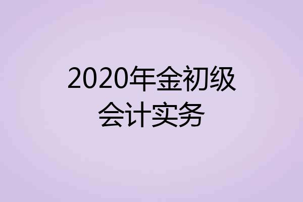 2020年金初级会计实务