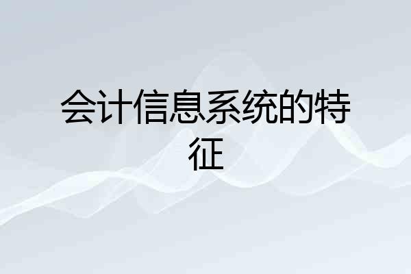 会计信息系统的特征