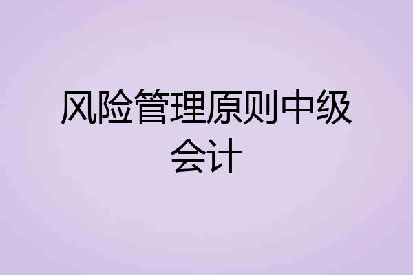 风险管理原则中级会计
