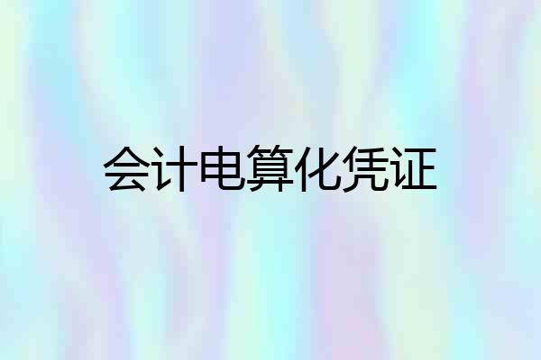 会计电算化凭证