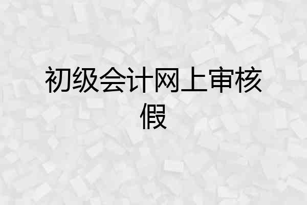 初级会计网上审核假