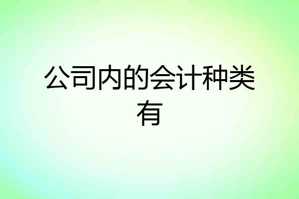 公司内的会计种类有