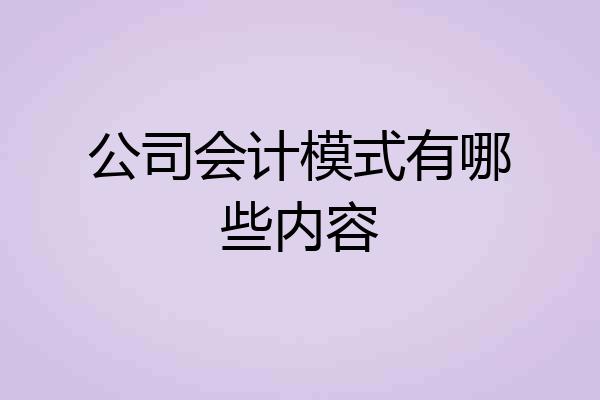 公司会计模式有哪些内容