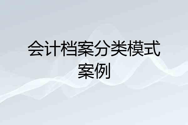 会计档案分类模式案例