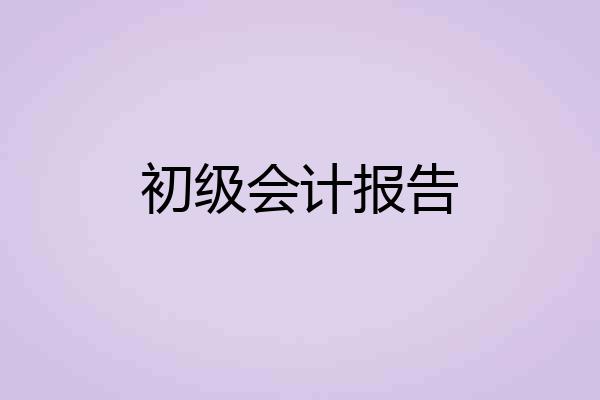 初级会计报告