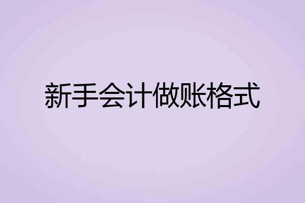 新手会计做账格式