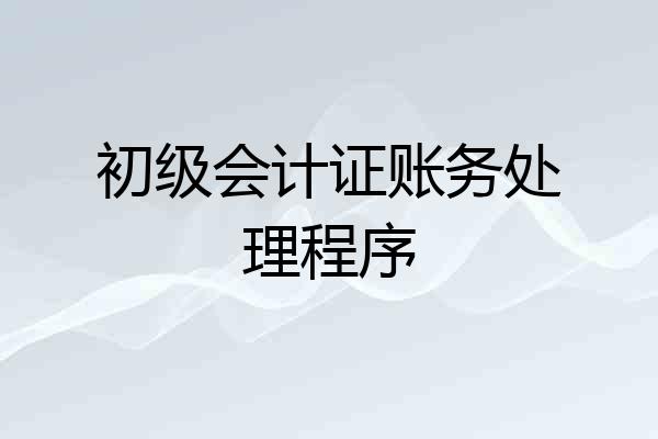 初级会计证账务处理程序