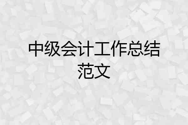 中级会计工作总结范文