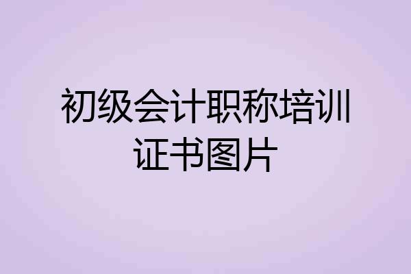 初级会计职称培训证书图片