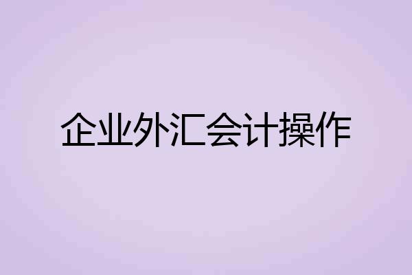 企业外汇会计操作