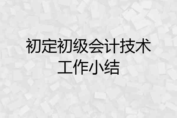 初定初级会计技术工作小结